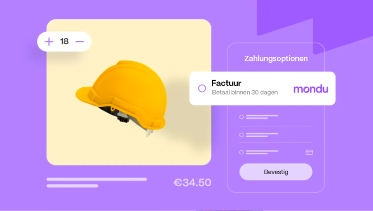 Monotizing B2B Payments
